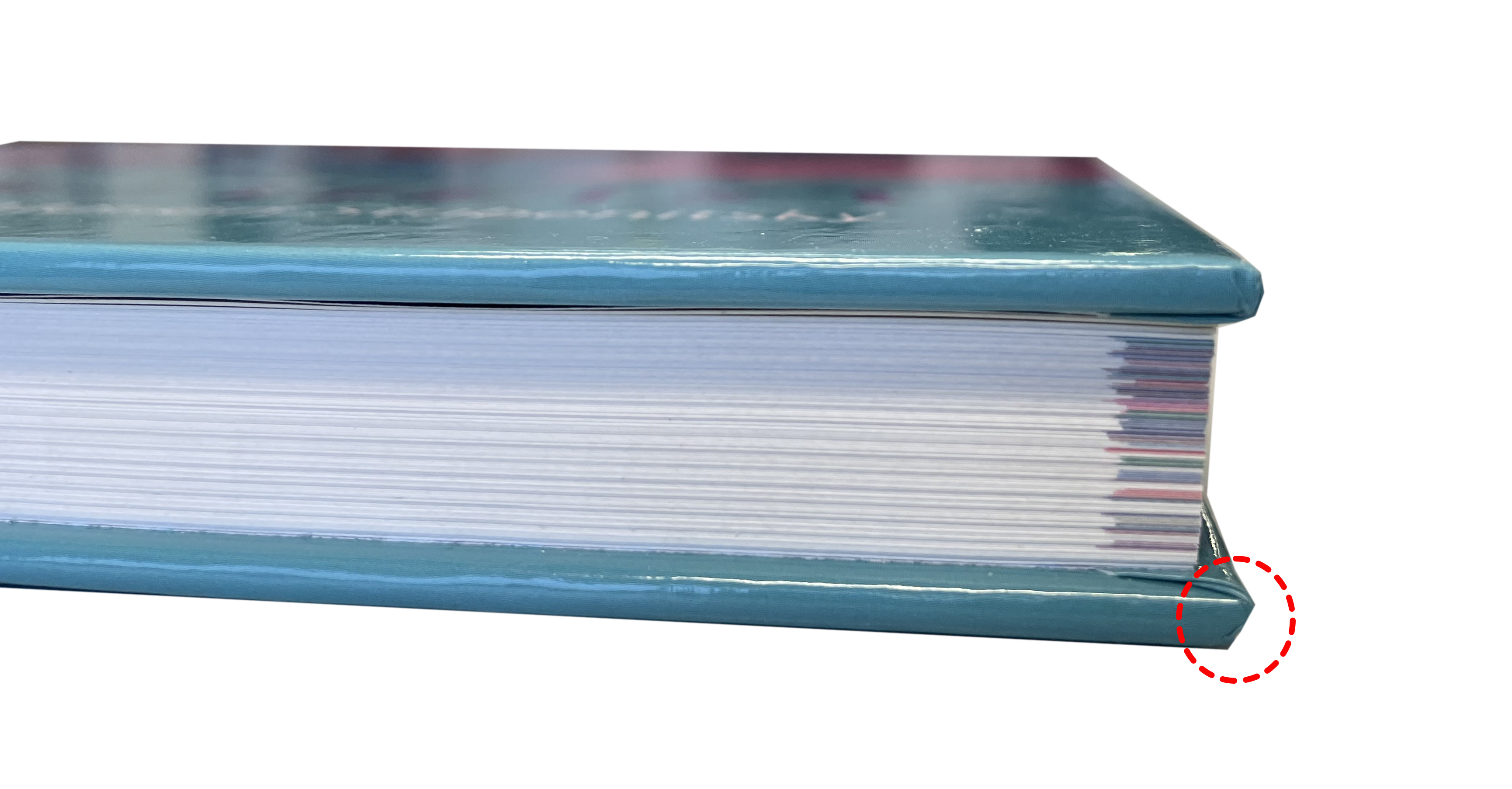 oversteek hardcover boek